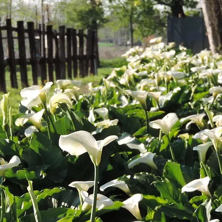 فندق مبيت وإفطار I Prati Di Varmo 3*